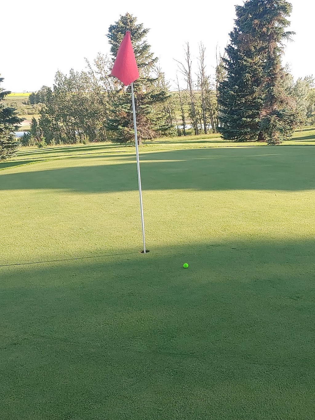 Meadows Executive Par 3 Golf Course | Cassils Road and Hwy 36, Brooks, AB T1R 1B7, Canada | Phone: (403) 362-6477