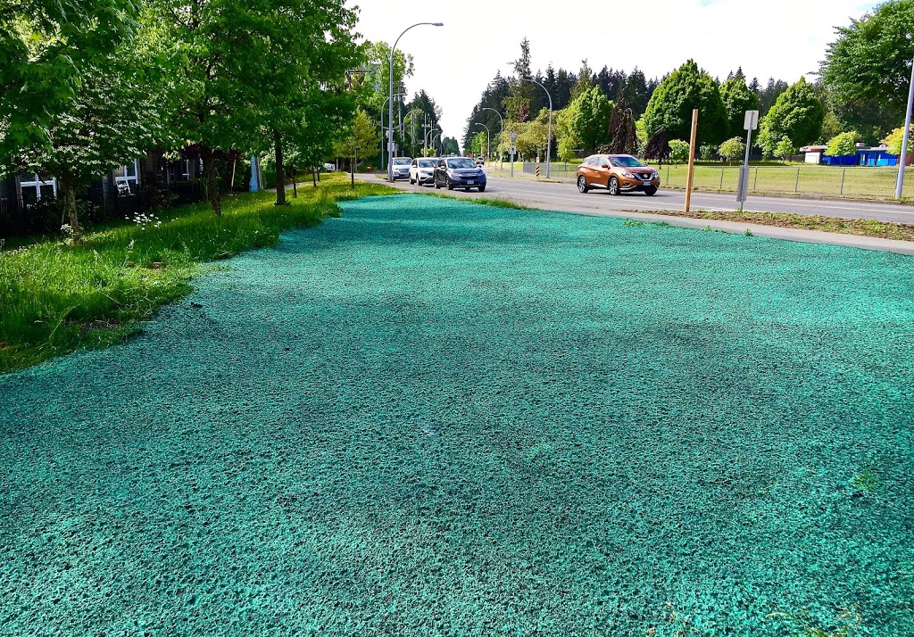 Coastal Yardworks Ltd | 5013 Dogwood Dr, Delta, BC V4M 1M7, Canada | Phone: (604) 218-4795