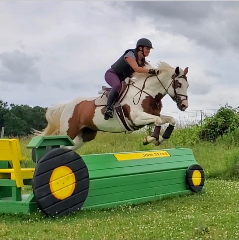 Silver Fox Farm | 873096 5 Line E, Mono, ON L9W 6A4, Canada | Phone: (647) 203-8348