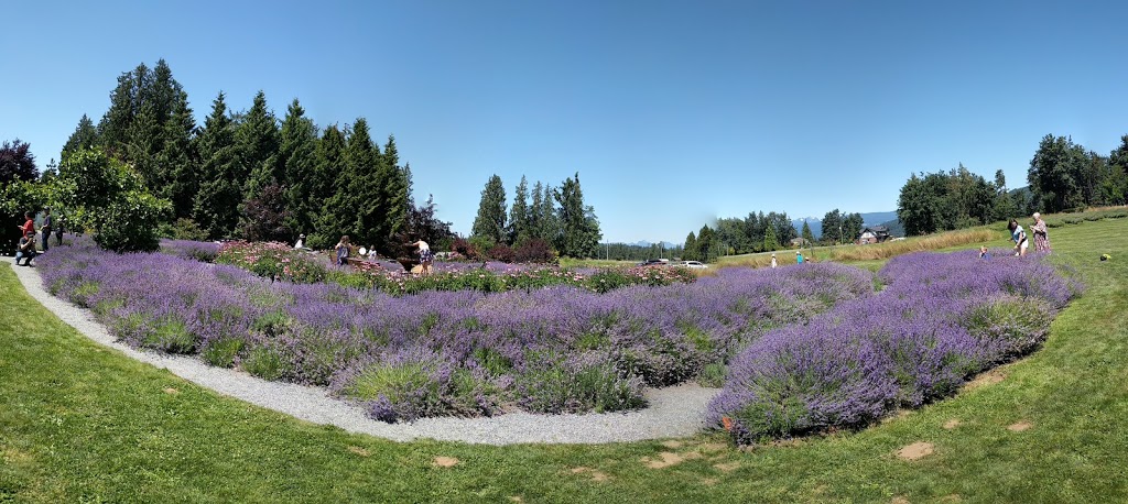 Tuscan Farm Gardens | 6834 Mount Lehman Rd, Abbotsford, BC V4X 2G5, Canada | Phone: (604) 857-1998