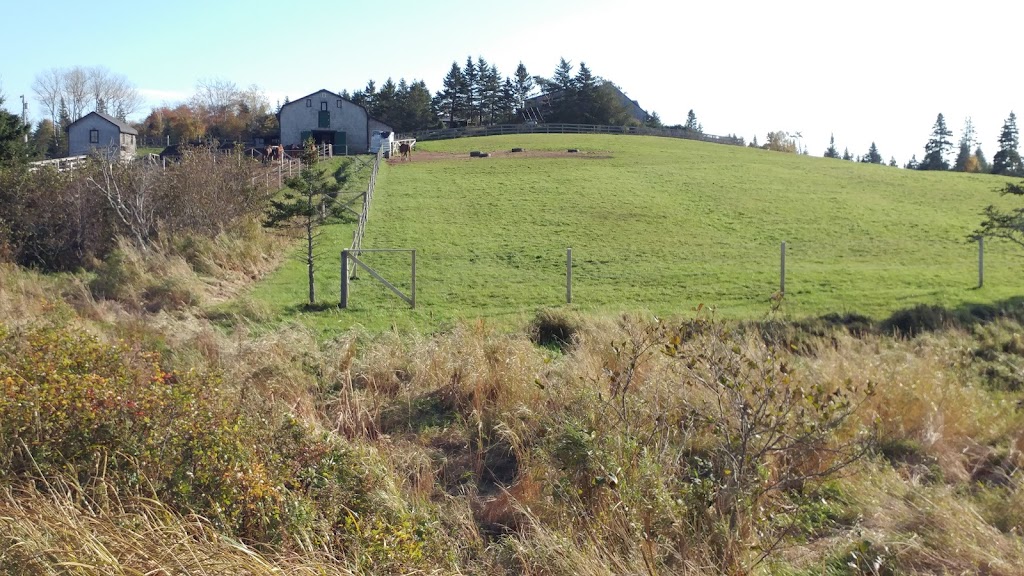 Sambea Farm | 79 Conrad Rd, Lawrencetown, NS B2Z 1S1, Canada | Phone: (902) 488-9607