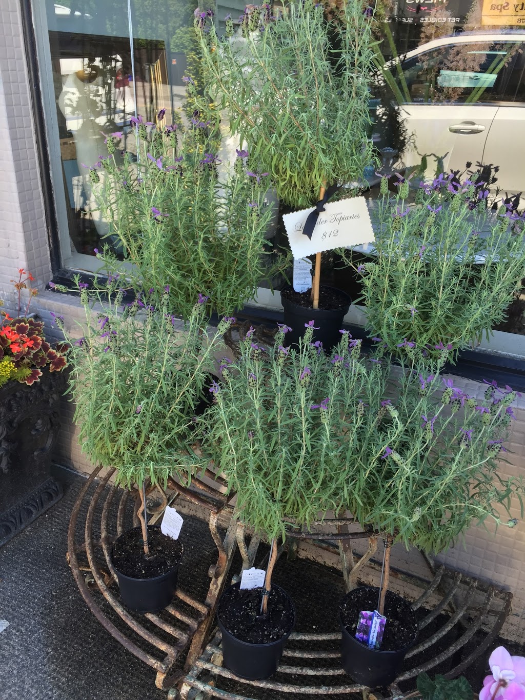 Quince Fine Florals | 4870 MacKenzie St, Vancouver, BC V6L 2R6, Canada | Phone: (604) 263-0202