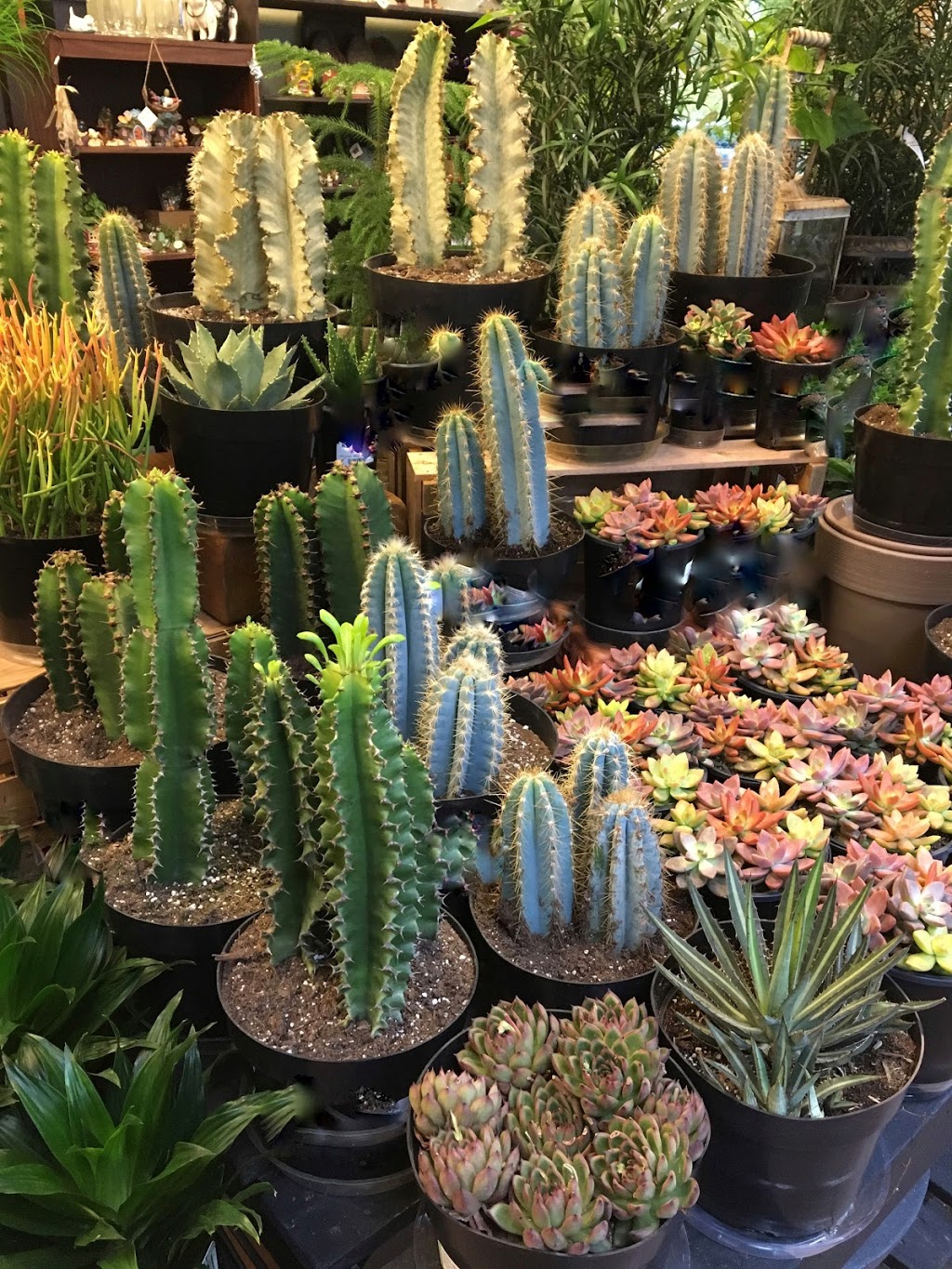 B&K Garden & Landscape Supply | 629 Pratt Rd, Gibsons, BC V0N 1V4, Canada | Phone: (604) 886-0924