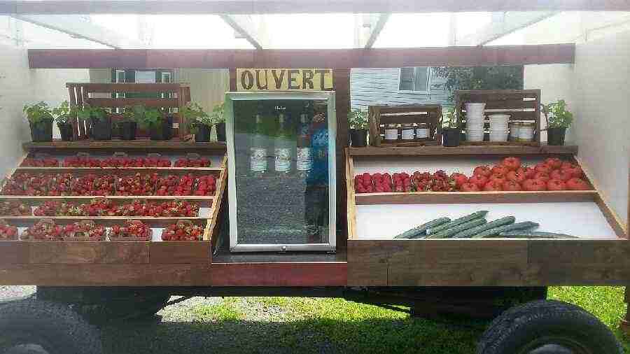 Les serres et jardins du moulin | 6 Rue du Moulin, Warden, QC J0E 2M0, Canada | Phone: (450) 920-1444