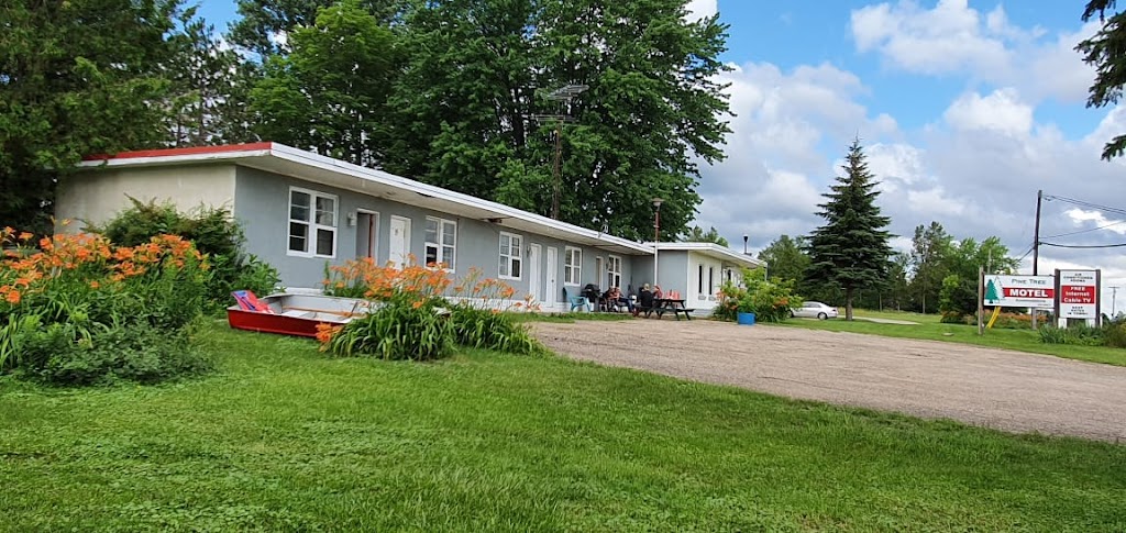 Pine Tree Motel - !UNDER NEW MANAGEMENT! | 8663 ON-60, Eganville, ON K0J 1T0, Canada | Phone: (613) 628-3403