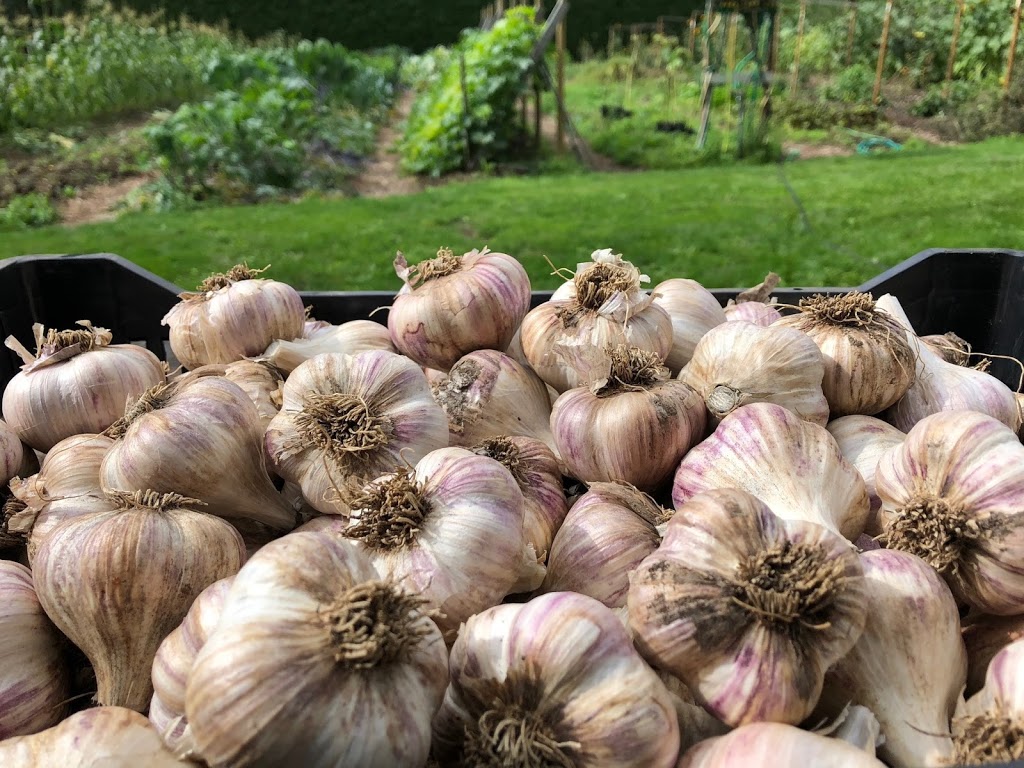 East Ridge Farms | 11924 267 St, Maple Ridge, BC V2W 1N9, Canada | Phone: (778) 839-7066