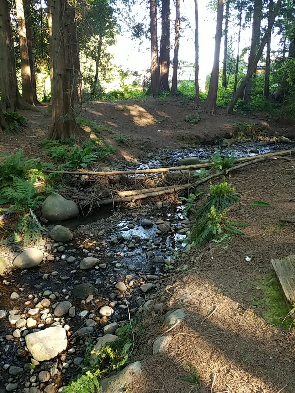 lubbocks woods park | 7803 Burris St, Burnaby, BC V5E 3M9, Canada