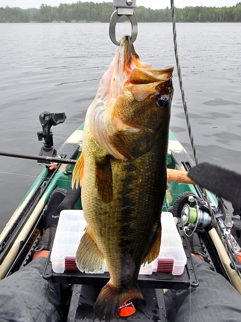 Cutler Lake Lodge | 499 Cutler Lake Rd, Massey, ON P0P 1P0, Canada | Phone: (705) 865-2990