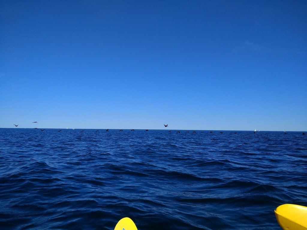 Toronto Beach Kayak | Kew Beach Ave, Toronto, ON M4E 1A5, Canada | Phone: (416) 629-6040