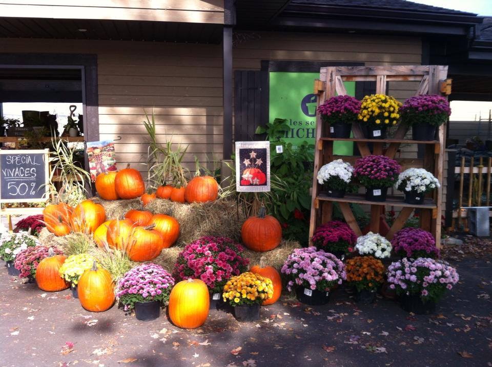 Les Serres Michaud | 1305 Boulevard du Bord de lEau, Salaberry-de-Valleyfield, QC J6S 0C7, Canada | Phone: (450) 747-4573