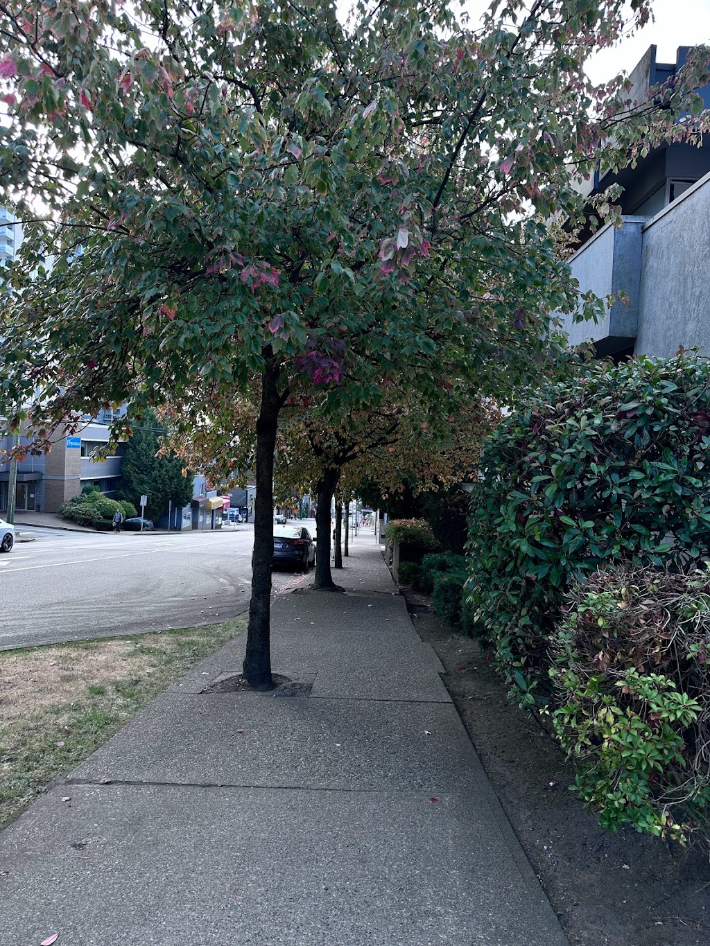 New Westminster Family Place | 85 Merivale St, New Westminster, BC V3L 1H7, Canada | Phone: (604) 520-3666