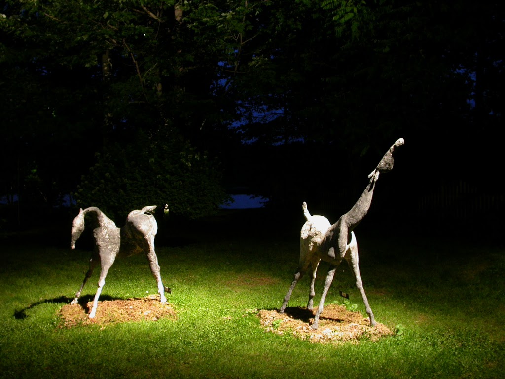Les Jardins Lumières | 552 rang 1, LAvenir, QC J0C 1B0, Canada | Phone: (819) 394-3350