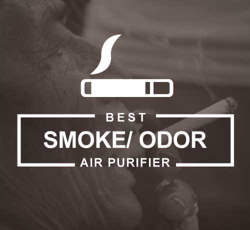 AB DISINFECT | 28 B Windsor Gate, Sylvan Lake, AB T4S 2H2, Canada | Phone: (587) 217-5922