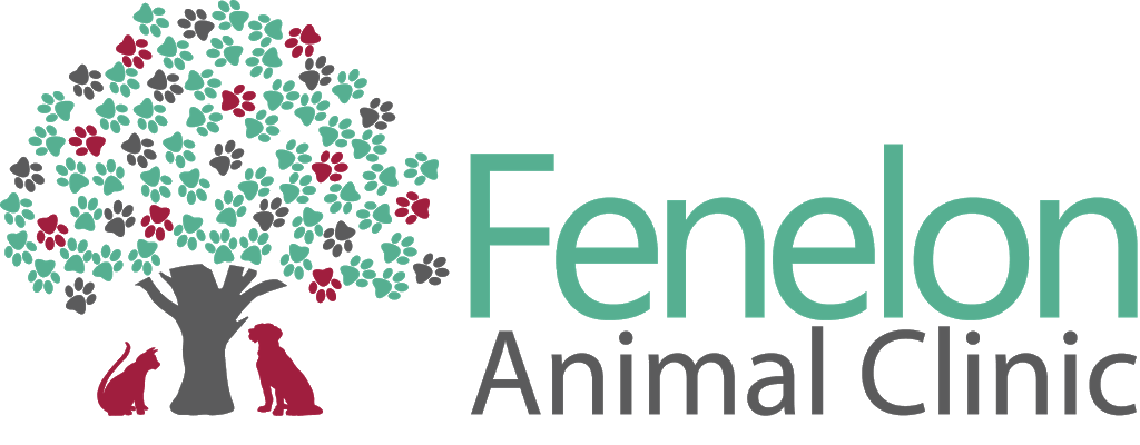 Fenelon Animal Clinic | health | 474 Kawartha Lakes County Rd 121, Fenelon Falls, ON K0M 1N0, Canada | 7058872731 OR +1 705-887-2731