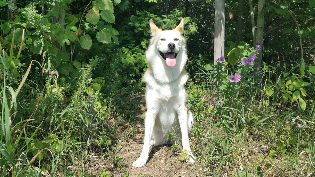 Andy Shields Park | 1455 Old Prescott Rd, Greely, ON K4P 1A7, Canada | Phone: (613) 580-2400