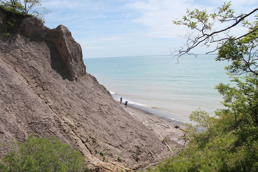 John E. Pearce Provincial Park | 29424 Lakeview Line, Wallacetown, ON N0L 2M0, Canada | Phone: (519) 874-4691