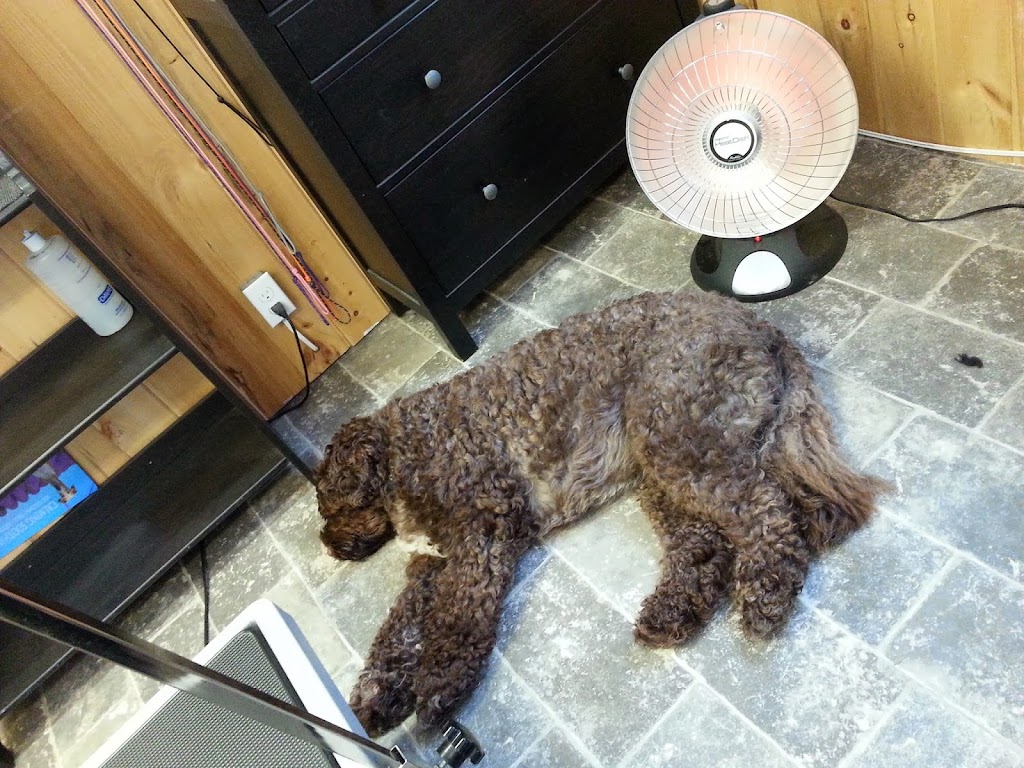 Pet Grooming By Carole | 3181 Sydenham Rd, Elginburg, ON K0H 1M0, Canada | Phone: (613) 532-7335
