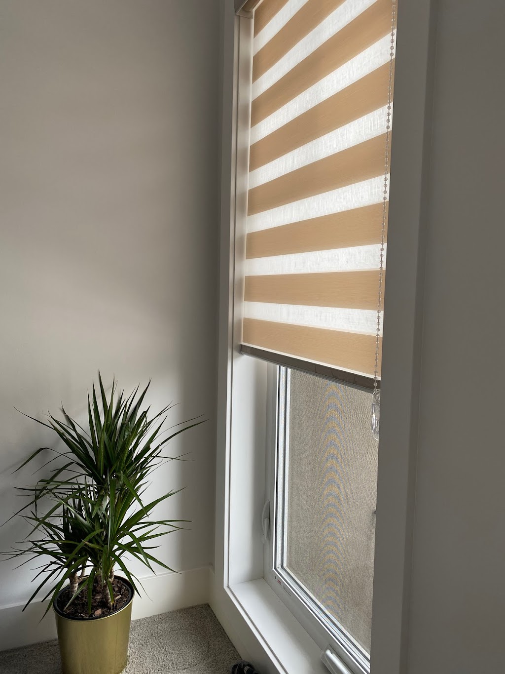 M.S. Blinds | 211 Eldorado Close NE, Calgary, AB T1Y 6T5, Canada | Phone: (587) 225-9845