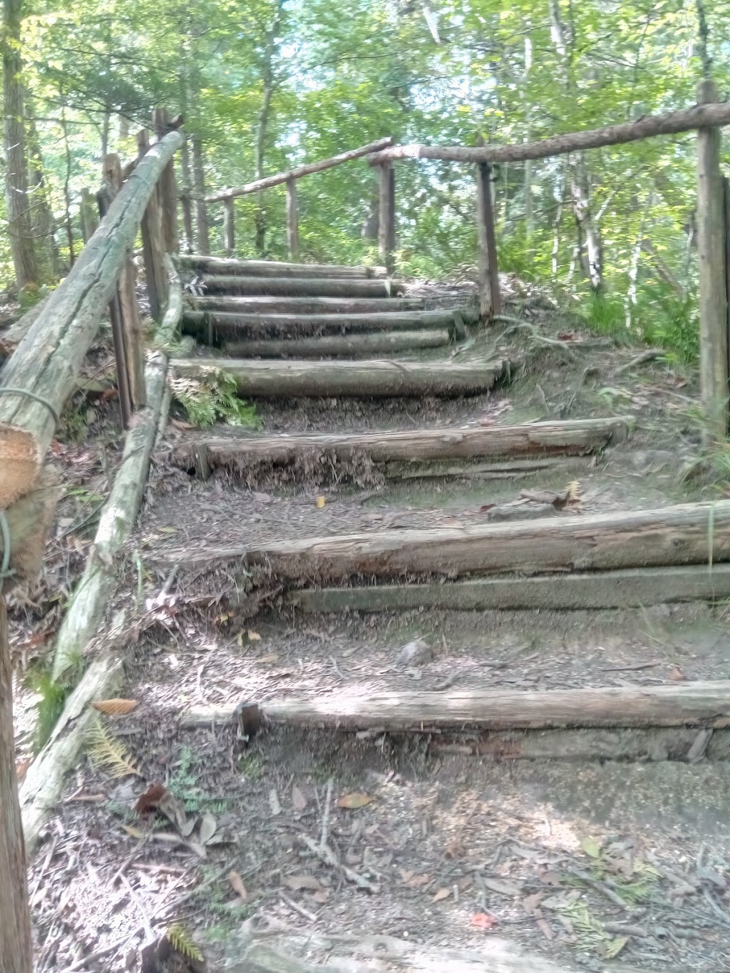 Bannockburn Conservation Area | 76249 Bannockburn Line, Exeter, ON N0M, Canada, Canada | Phone: (888) 286-2610