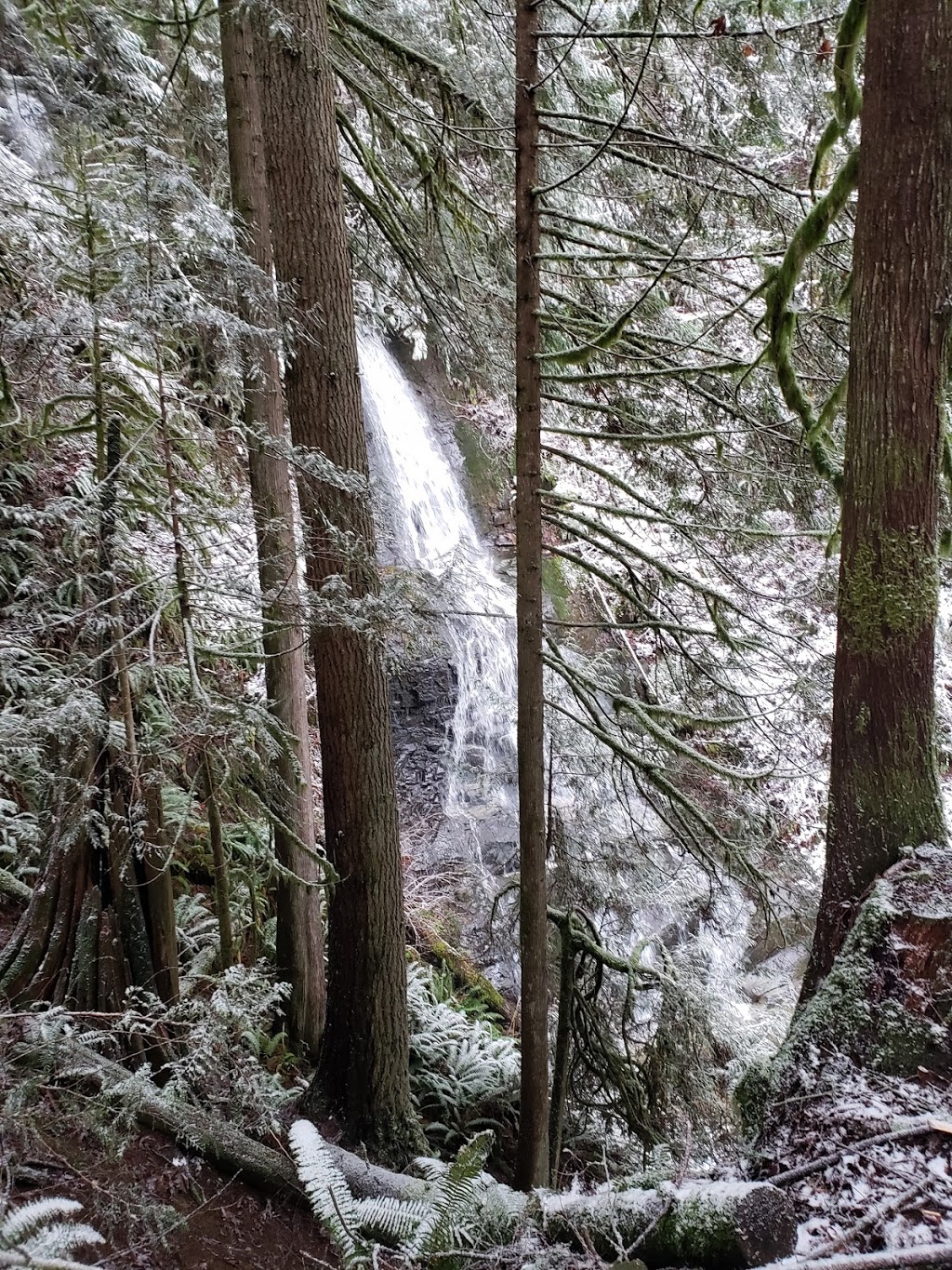 Lookout Mountain Preserve | Bellingham, WA 98229, USA