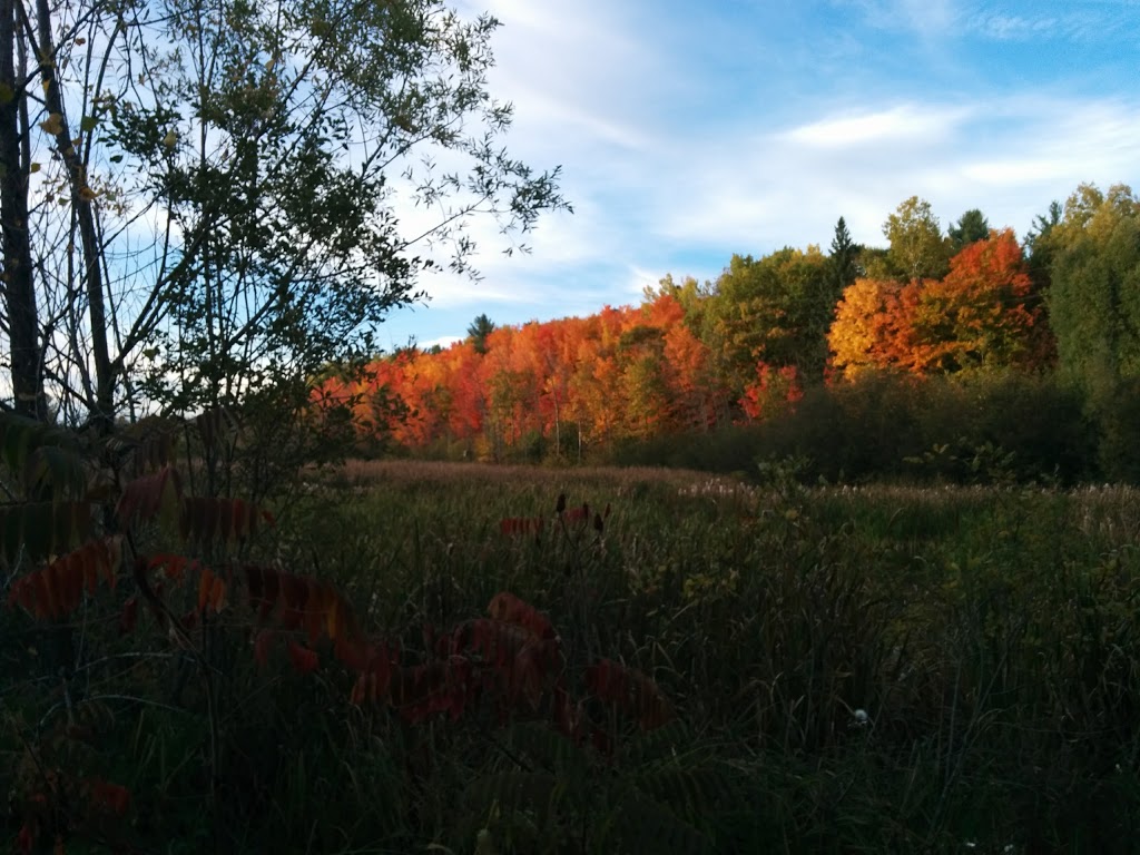 Vallon Park | Rue de Cannes, Gatineau, QC J8V 2M1, Canada | Phone: (819) 595-2002