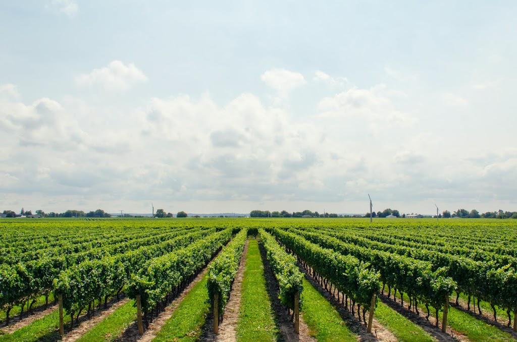 Cheers Transportation - Wine Tours & Shuttle Services | 349 Airport Road, Niagara-on-the-Lake, ON L0S 1J0, Canada | Phone: (905) 931-9197