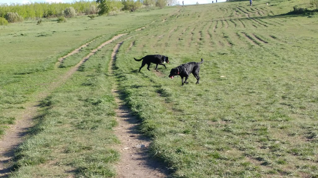 Coach Hill Off-leash Area COA-001 | 6204 Coach Hill Rd SW, Calgary, AB T3H 1J4, Canada