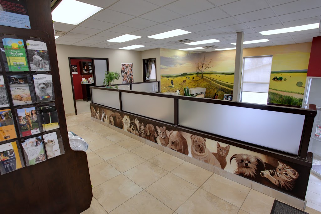 Clinique Vétérinaire Mirabel inc. | Mirabel, QC J7N 2P6, Canada | Phone: (450) 258-3202