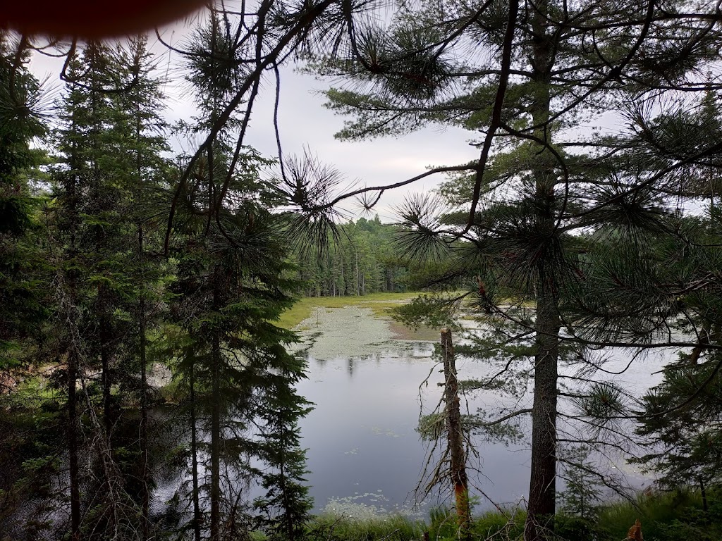 Opeongo River Provincial Park | South Algonquin, ON K0J 2C0, Canada | Phone: (705) 633-5572