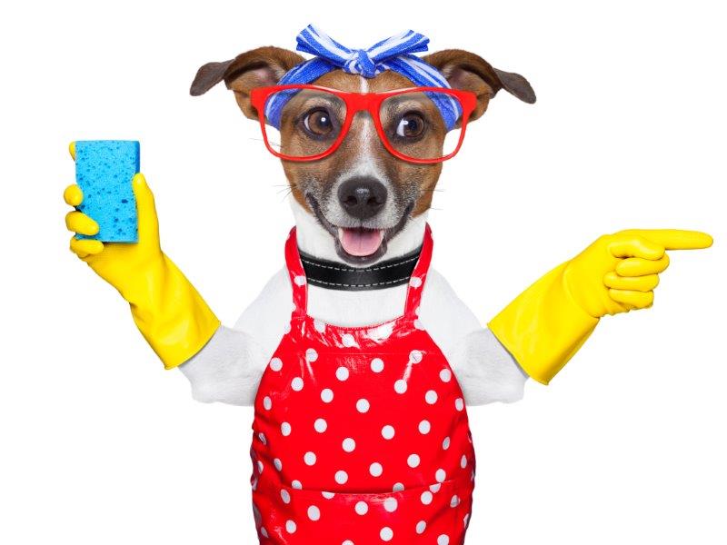 Personal Touch Home Cleaning | 232 Gladeview Private, Ottawa, ON K1T 4A7, Canada | Phone: (613) 816-3669