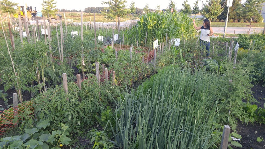 Kirkham Allotment Garden | Kirkham Dr, Markham, ON L3S 0A9, Canada