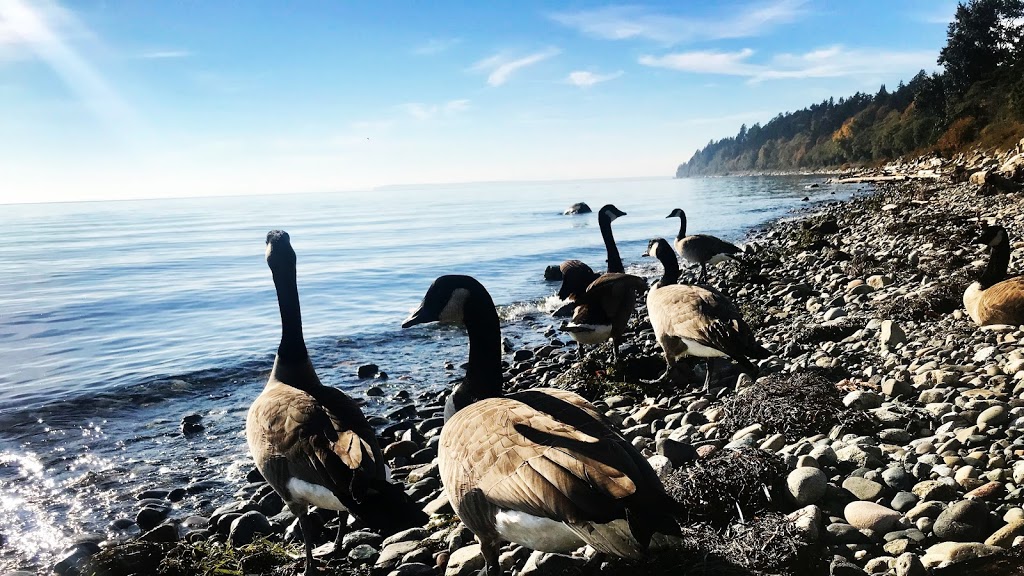 Mimi Kates - | RE/MAX Alliance - "The Neal Estate Team" | 770B Hillside Ave, Victoria, BC V8T 1Z6, Canada | Phone: (250) 882-4022