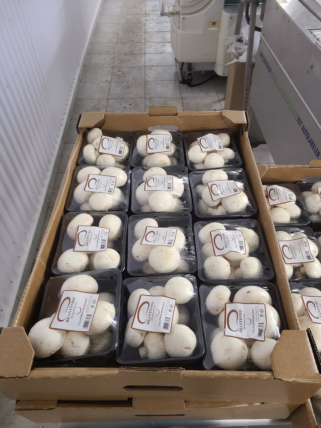 Brantford Mushroom Farm | 1744 Colborne St E, Brantford, ON N3T 5L4, Canada | Phone: (519) 756-6112