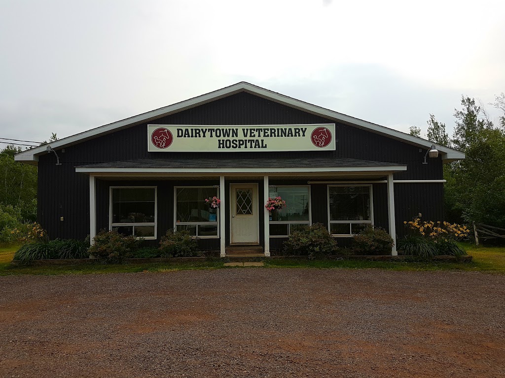 Dairytown Veterinary | 25 Vail Crt, Sussex, NB E4E 2R9, Canada | Phone: (506) 433-3889