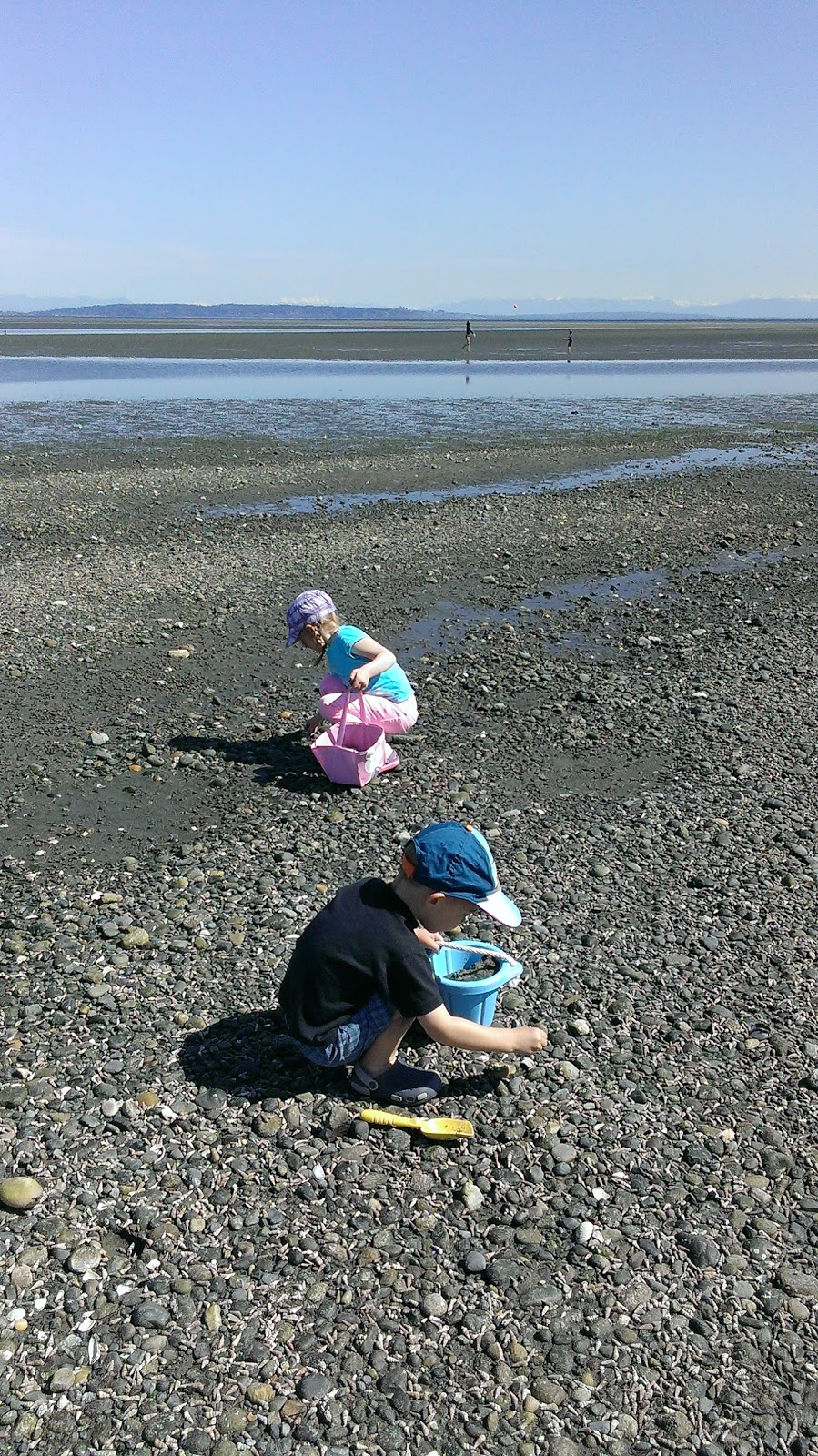 Centennial Beach Cafe | 570 Boundary Bay Rd, Delta, BC V4L 1N2, Canada | Phone: (604) 555-5555