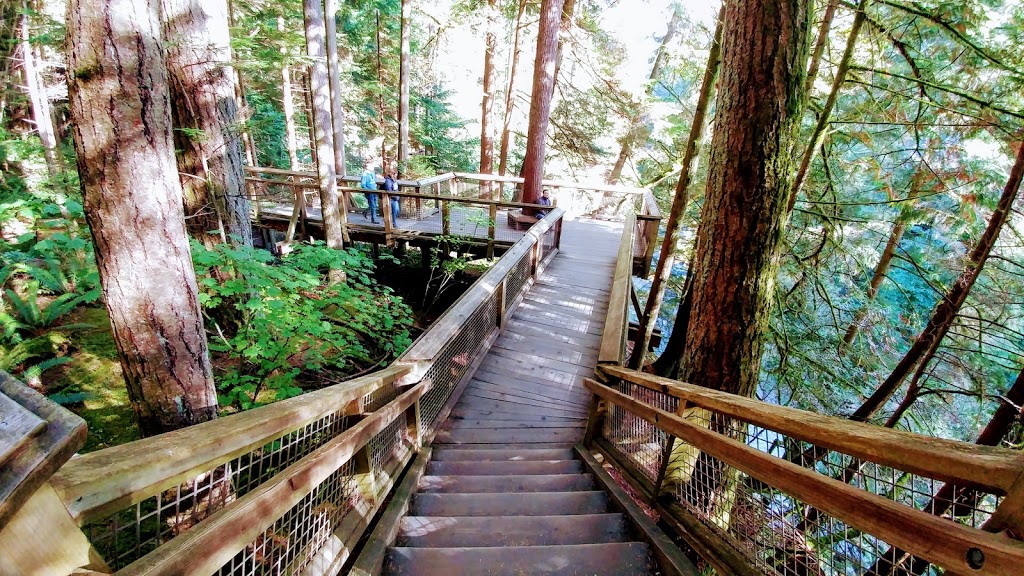 Treetops Adventure | West Vancouver, BC V7S 1J5, Canada