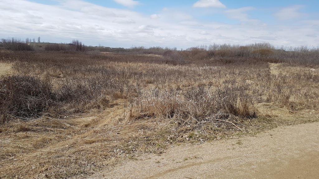 Saskatoon Natural Grasslands | Saskatoon, SK S7S 1K9, Canada