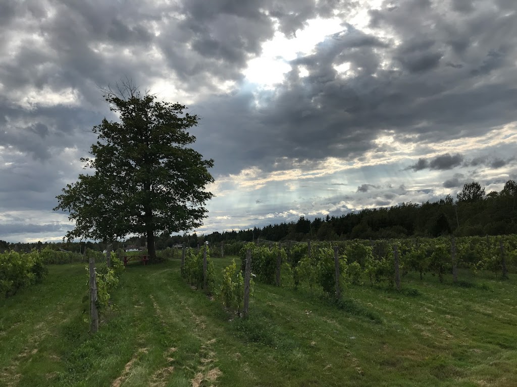 Domaine Small | 2603 Rue St Pierre, Sainte-Agathe-de-Lotbinière, QC G7A 1V7, Canada | Phone: (418) 254-7804
