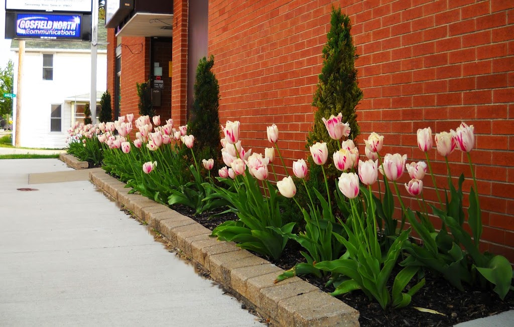 Gosfield | 128 County Rd 34, Cottam, ON N0R 1B0, Canada | Phone: (519) 839-4734