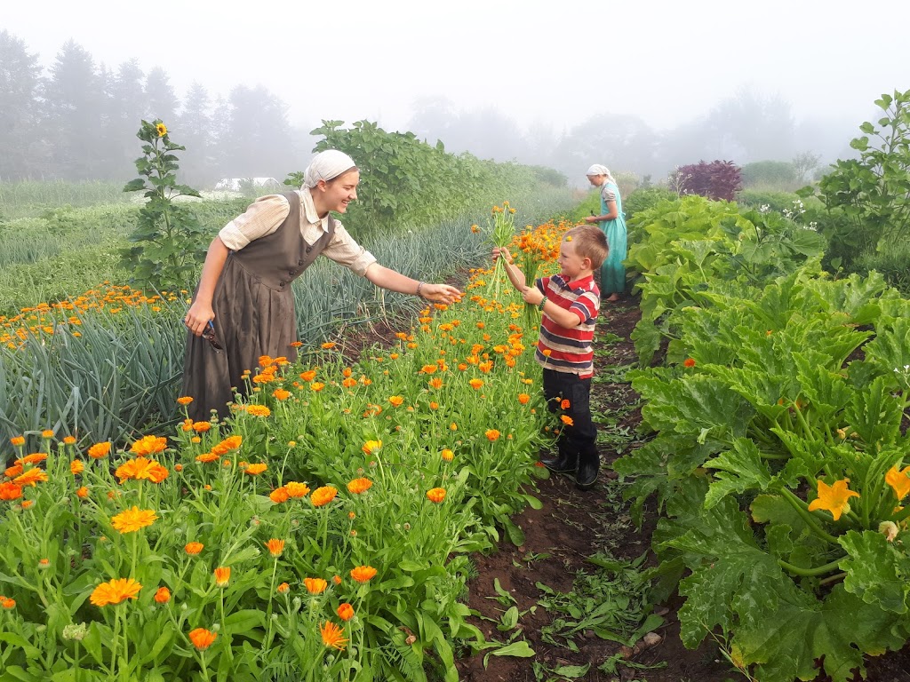 Bountywoods Farm | 4876 Brooklyn St, Somerset, NS B0P 1E0, Canada | Phone: (902) 538-4318