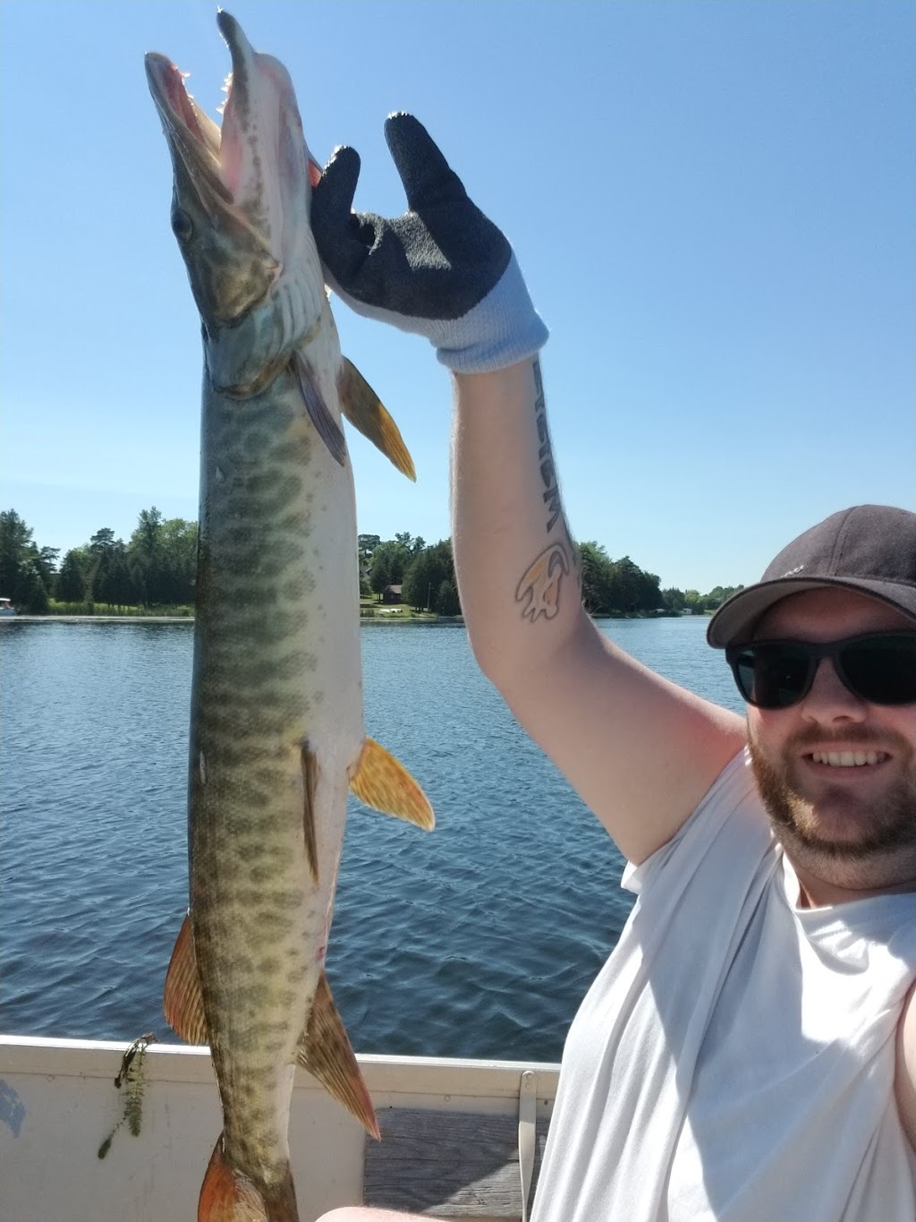 Fees Landing Resort And Marina | 55 Russell Dr, Omemee, ON K0L 2W0, Canada | Phone: (705) 799-6497