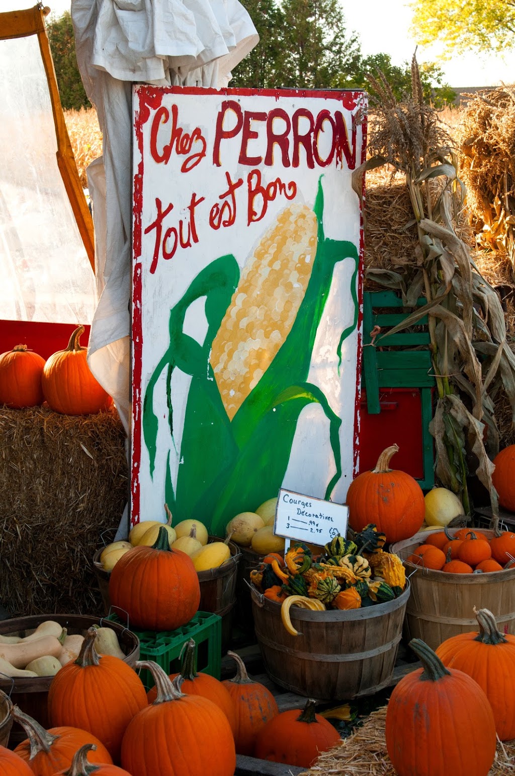 Ferme Perron (La) | 2477 Rang Saint-Jacques, Saint-Jacques, QC J0K 2R0, Canada | Phone: (450) 839-6706