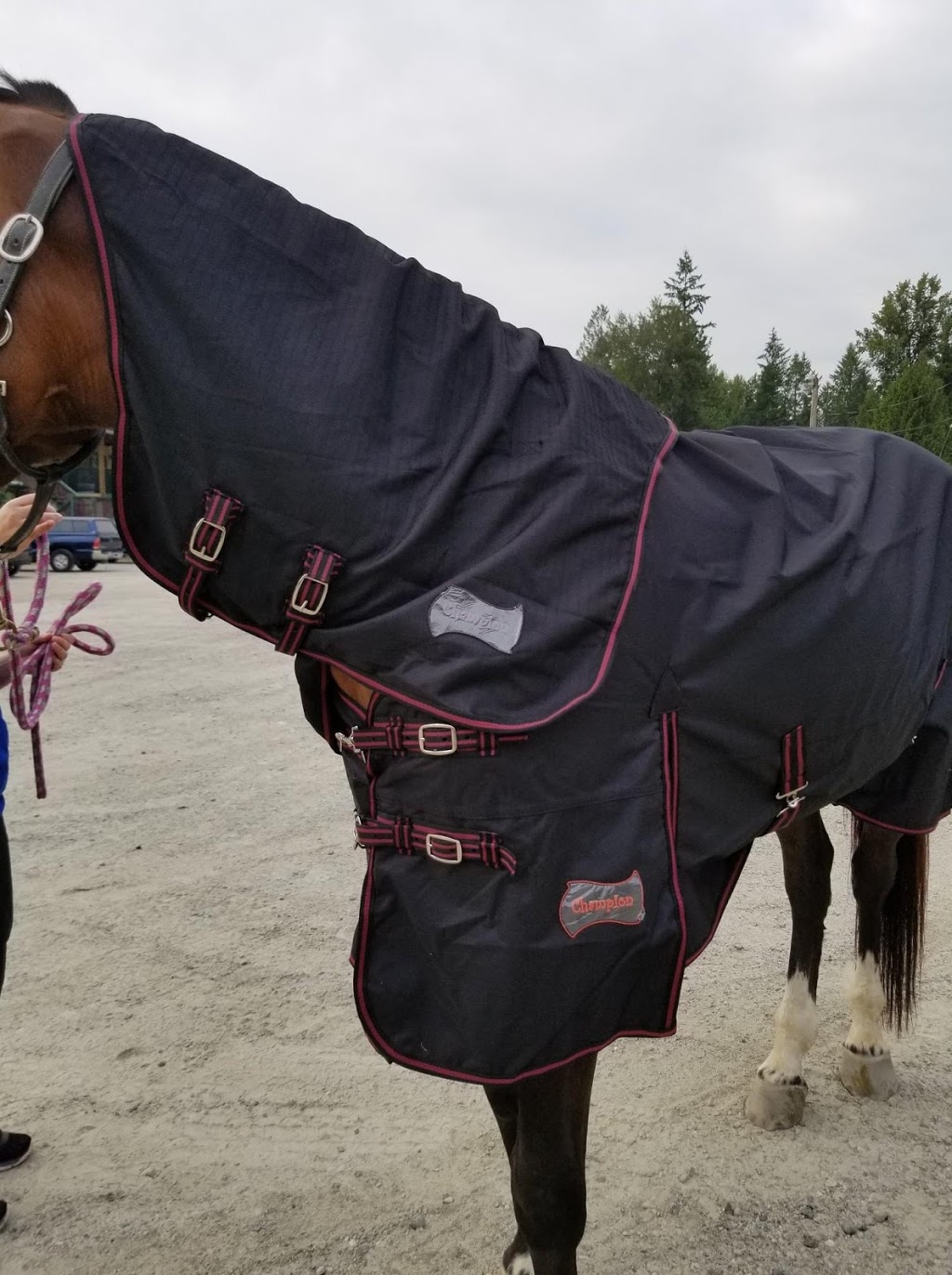 Hill Top Tack & Authorized Canpressco Dealer | Warkworth, ON K0K 3K0, Canada | Phone: (705) 868-1030