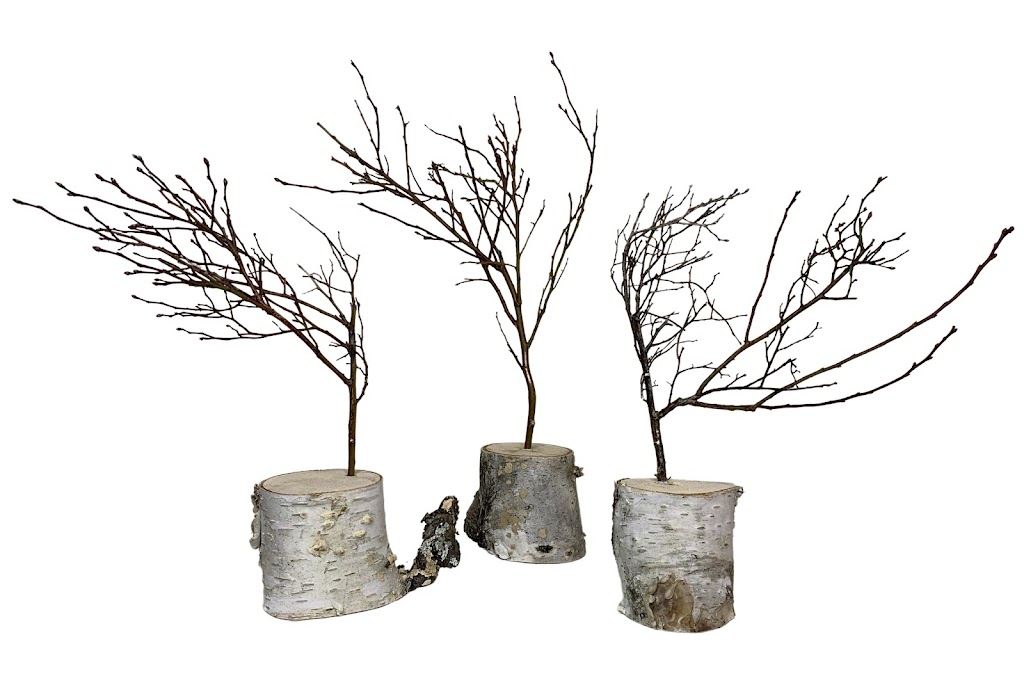 Foraged Florals | 5491 Hwy 12, Harriston, NS B0J 2M0, Canada | Phone: (902) 209-3638