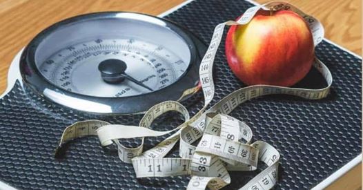 Life Balance Nutrition | 200 Dunbar St, Rockwood, ON N0B 2K0, Canada | Phone: (905) 861-1081