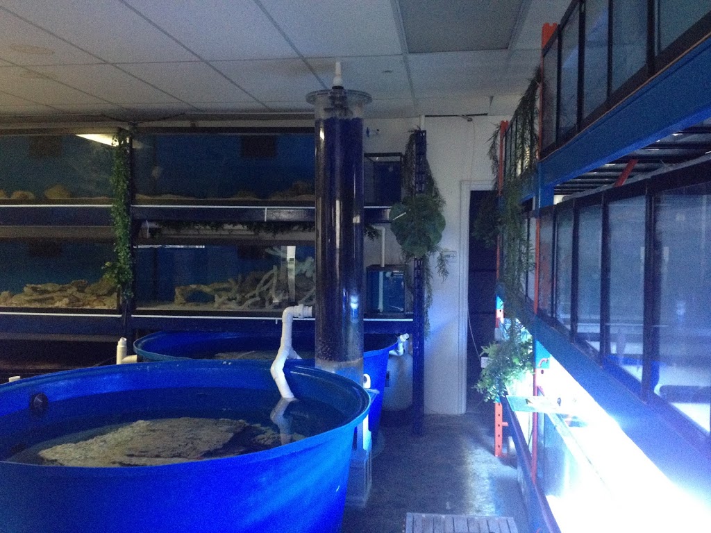 Canadian Marine Aquaculture | 945 Weston Rd, York, ON M6N 3R4, Canada | Phone: (647) 705-3523