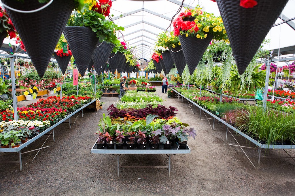 Serres Dame Nature - Passion Jardin | 1252 QC-170, Saint-Gédéon, QC G0W 2P0, Canada | Phone: (418) 345-2464