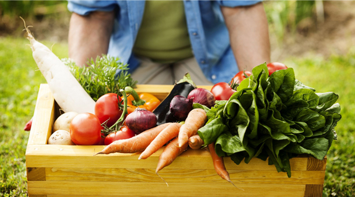 Hewitt Fresh - Grocery Home Delivery | 3331 Town Line, Coldwater, ON L0K 1E0, Canada | Phone: (705) 305-9464