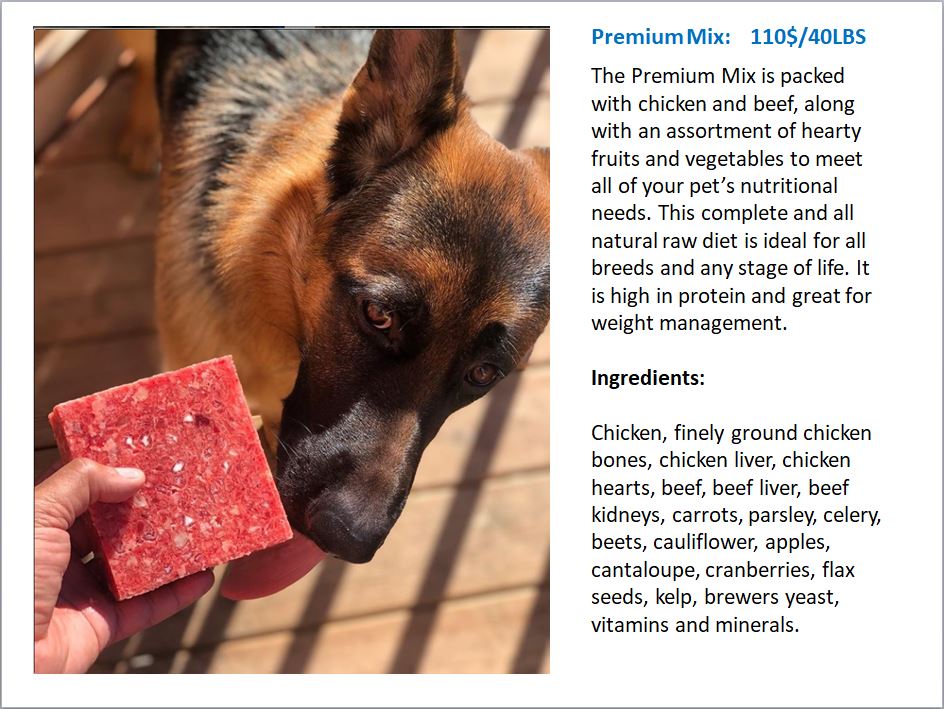 RufusGufus Raw Dog Food | 577 Juneberry Ct, Milton, ON L9E 1M8, Canada | Phone: (416) 602-6486