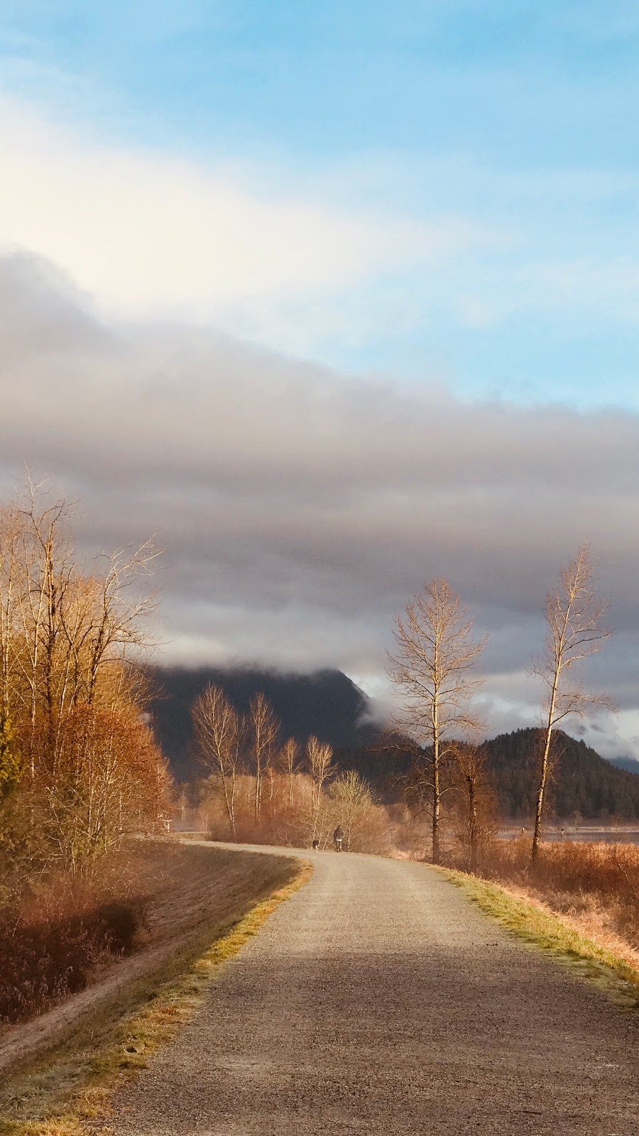Traboulay PoCo Trail | Traboulay PoCo Trail, Coquitlam, BC, Canada